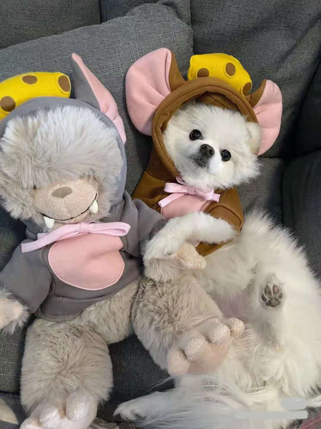 WILLED Halloween Big Ear Mouse Dog Hoodies, Cute Cheese Warm Pet Costume for Small Medium Dogs, French Bulldog, Chihuahua, S (Chest 53cm/ 20.8")