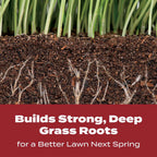 Scotts Turf Builder WinterGuard Fall Lawn Fertilizer for All Grass Types, 12,000 sq. ft., 32.3 lbs.