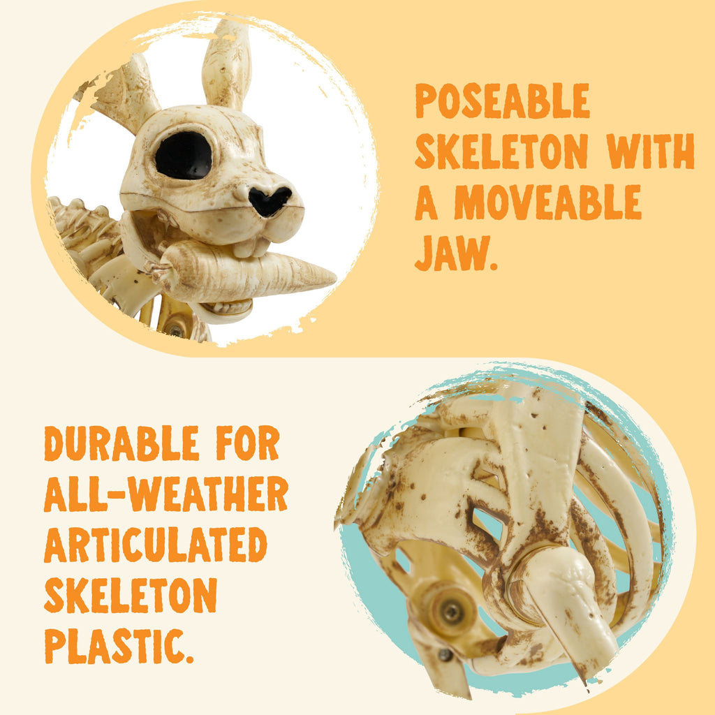 Joyfy Rabbit Skeleton