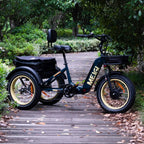DWMEIGI Silverado 20 inch 48V/14Ah 750W Folding Electric Tricycle With Wide Tires, 150 kg - MG2301