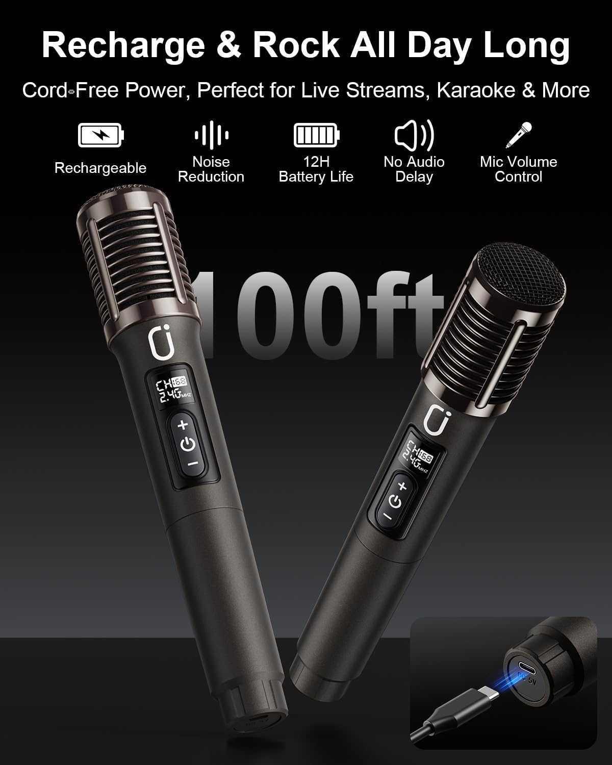 200W Karaoke Machine with 2 Rechargeable Wireless Microphones for Adults