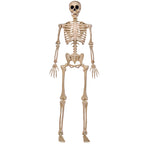JOYIN 5 FT Halloween Skeleton Life Size, Stayable Posable Skeleton Decor, Full Body Movable Joints Giant Skeletons for Halloween Decoration Outdoor