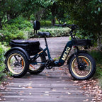 DWMEIGI Silverado 20 inch 48V/14Ah 750W Folding Electric Tricycle With Wide Tires, 150 kg - MG2301
