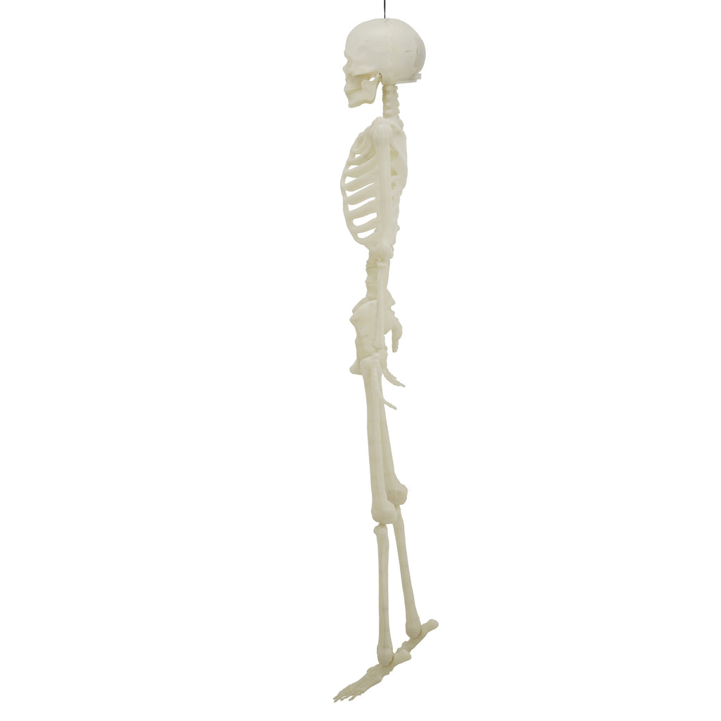 Light-Up LED Poseable Skeleton, Multicolor, 5', Halloween by Way To Celebrate