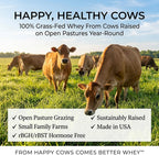 Raw Grass Fed Whey Protein Powder, Unflavored – 1 Ingredient, No Additives or Fillers, Undenatured, Made in USA, 5 lb