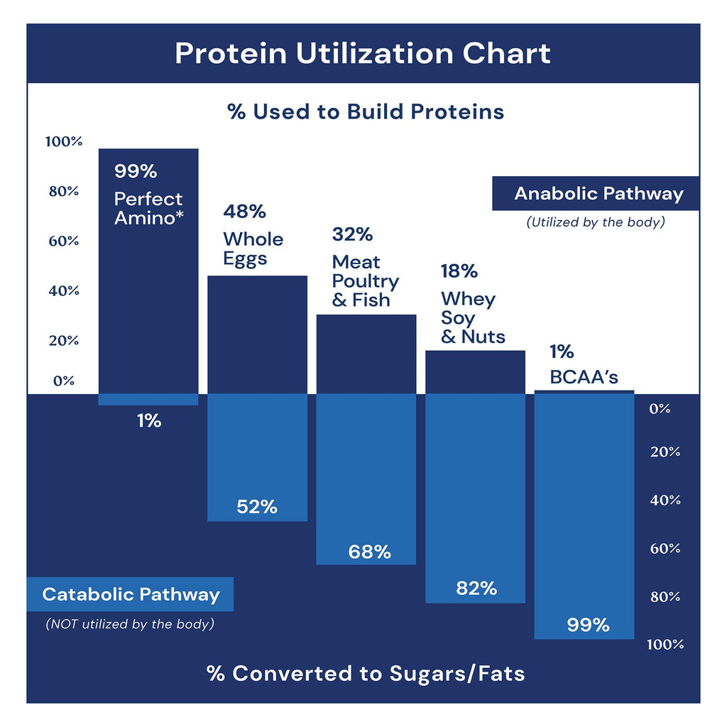 BodyHealth PerfectAmino Powder - BCAA and EAA Powder for Pre and Post Workout - Amino Acid Energy Drink for Men and Women to Support Lean Muscle and