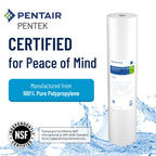 Pentair Pentek DGD-5005-20 Big Blue Water Filter, 20-Inch Whole House Sediment Filter Cartridge Replacement, Dual-Gradient Density Spun Polypropylene