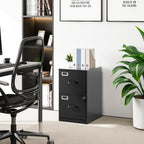 2 Drawer File Cabinet with Lock Vertical Filing Storage Cabinet Office Home Steel Vertical File Cabinets for Letter Size File Cabinet Locked,Assembly