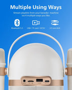 PHILIPS S2508 Portable Karaoke Machine,Party Bluetooth Speaker with 2 Karaoke Microphones,7 H Battery,Multi-Colored Light Modes with Display Screen,6