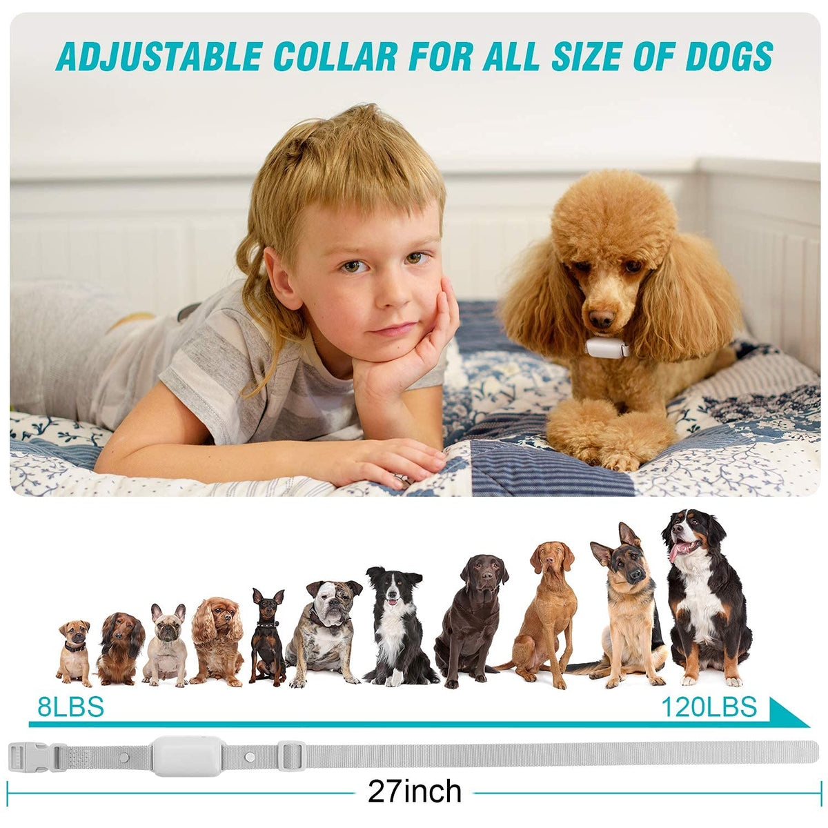 Shock Collar for Dogs - Waterproof Rechargeable Dog Electric Training Collar with Remote for Small Medium Large Dogs with Beep, Vibration, Safe Shock