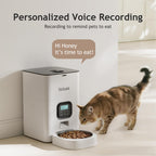VOLUAS Automatic Cat Feeder, 4L Timed Dry Food Dispenser for Cats & Dogs