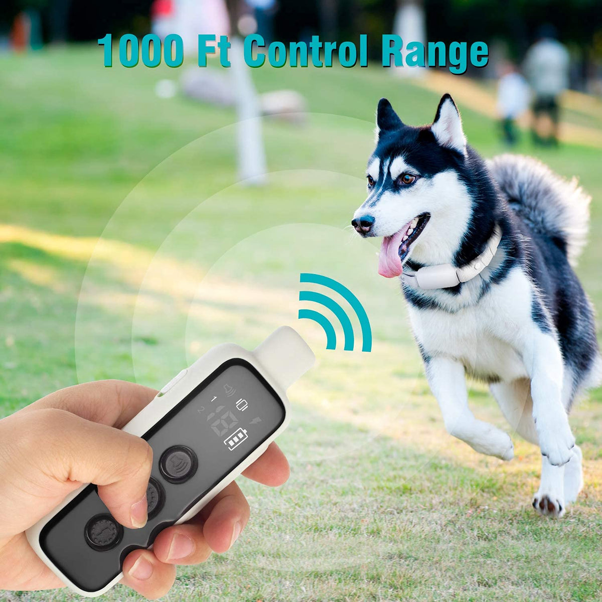 Shock Collar for Dogs - Waterproof Rechargeable Dog Electric Training Collar with Remote for Small Medium Large Dogs with Beep, Vibration, Safe Shock