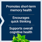 Life Extension Neuro-Mag Magnesium L-Threonate, 90 Vegetarian Capsules