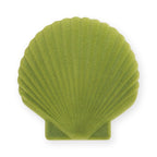 Venus Velvet Seashell Jewelry Box - Green