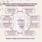 Micro Ingredients Multi Collagen Peptides Powder, 1lb (41 Servings)