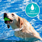 Shock Collar for Dogs - Waterproof Rechargeable Dog Electric Training Collar with Remote for Small Medium Large Dogs with Beep, Vibration, Safe Shock