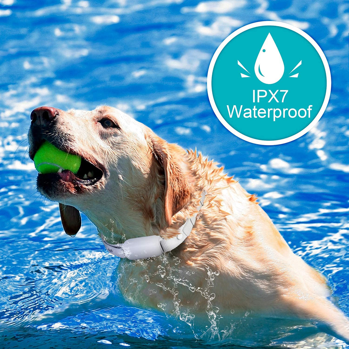 Shock Collar for Dogs - Waterproof Rechargeable Dog Electric Training Collar with Remote for Small Medium Large Dogs with Beep, Vibration, Safe Shock