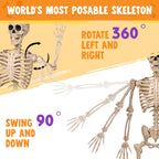 JOYIN 5 FT Halloween Skeleton Life Size, Stayable Posable Skeleton Decor, Full Body Movable Joints Giant Skeletons for Halloween Decoration Outdoor