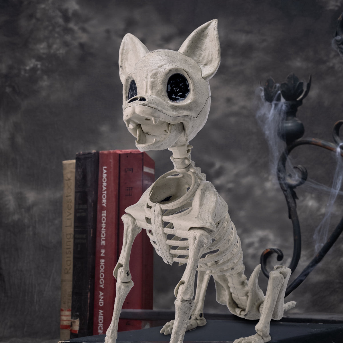 Joyfy 9.8 Inch Halloween Skeleton Dog Skeleton Halloween Decor, Pose-N-Stay Plastic Skeleton Bones with Posable Joints for Hallowmas Decoration Outdoor Haunted House Party