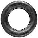 Lionhart LH-501 All Season 225/65R16 100H Passenger Tire