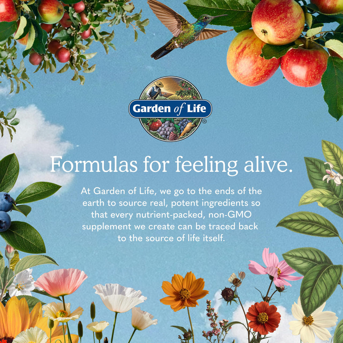 Garden of Life Raw Organic Protein Powder, Vegan, Vanilla, 20 Servings