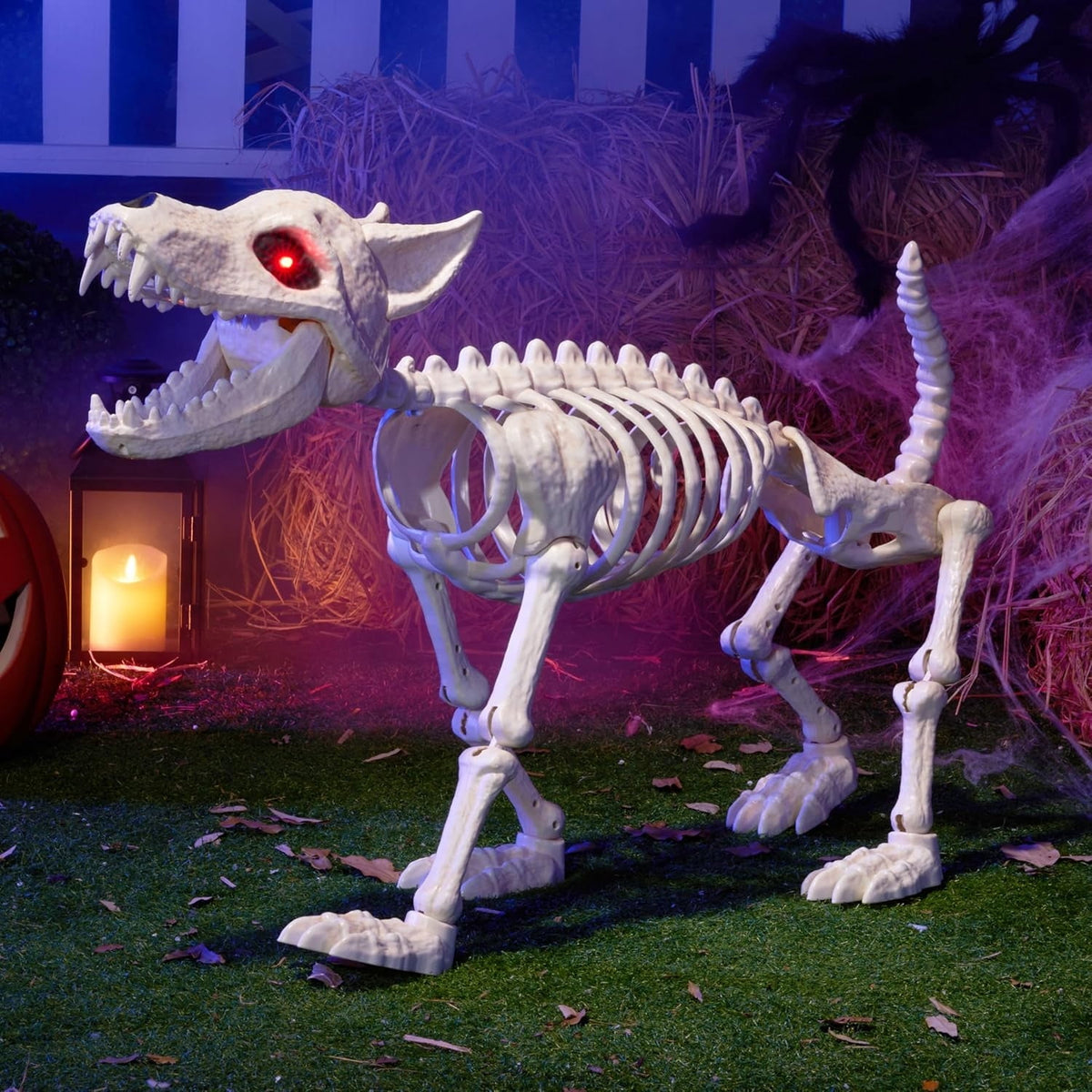 Joyfy 9.8 Inch Halloween Skeleton Dog Skeleton Halloween Decor, Pose-N-Stay Plastic Skeleton Bones with Posable Joints for Hallowmas Decoration Outdoor Haunted House Party