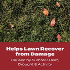 Scotts Turf Builder WinterGuard Fall Lawn Fertilizer for All Grass Types, 12,000 sq. ft., 32.3 lbs.