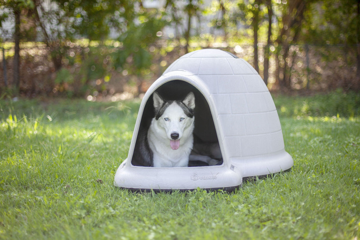 Petmate Indigo All-Weather Portable Medium Plastic Outdoor Igloo Dog House, 37.5"L For Dogs 20 to 50 lb, Taupe & Black