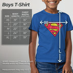 Boy's Superman Classic Logo Graphic Tee Royal Blue Medium